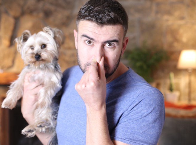 homme se bouche le nez avec chien sur ses bras