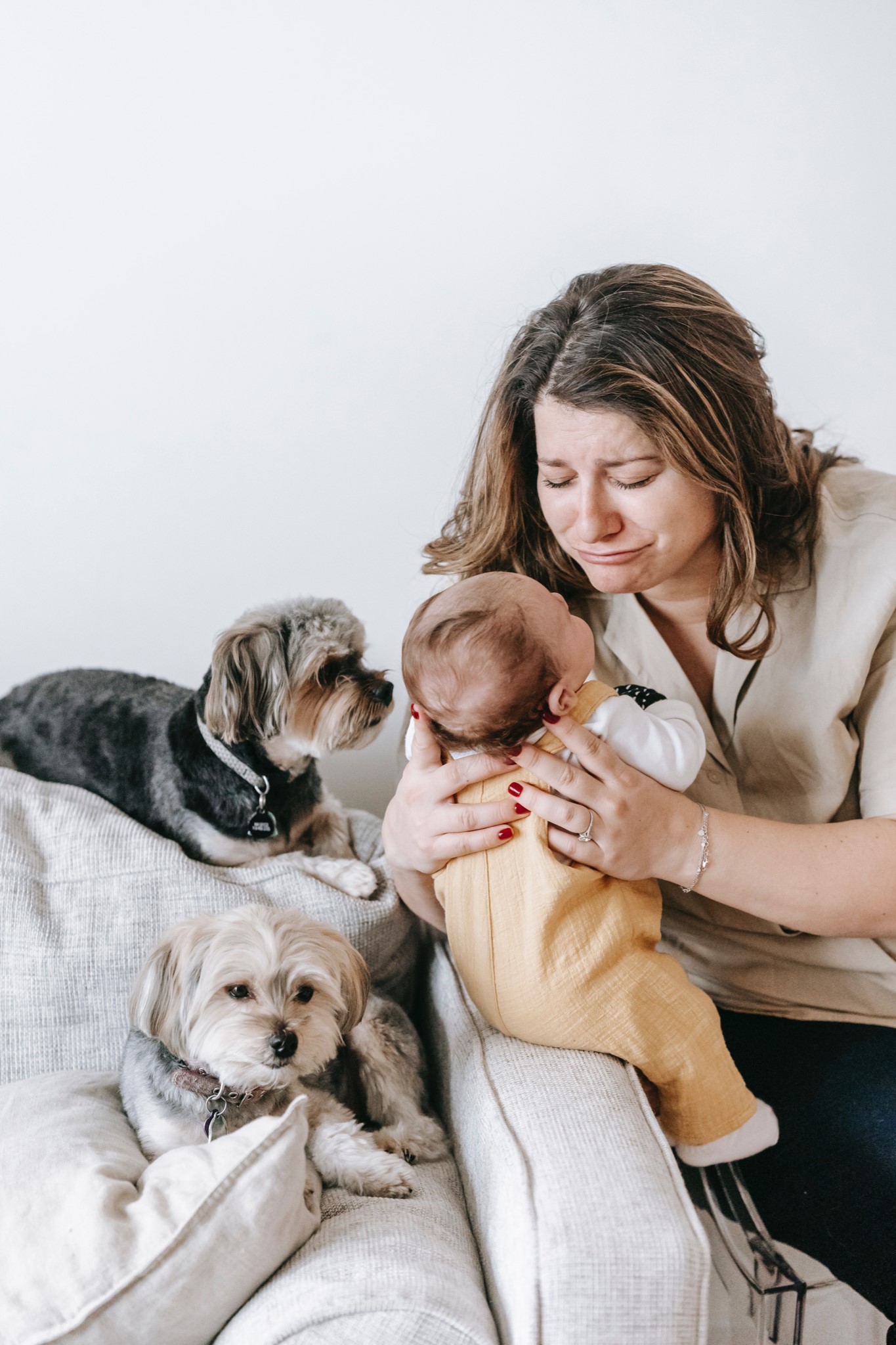 chiens et mère avec bébé