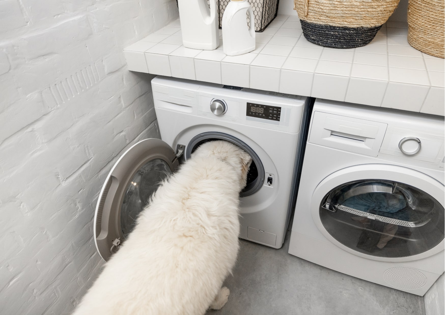 enlever les poils de chien de la machine à laver