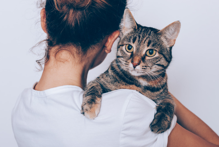 Calin avec un chat sur l'épaule