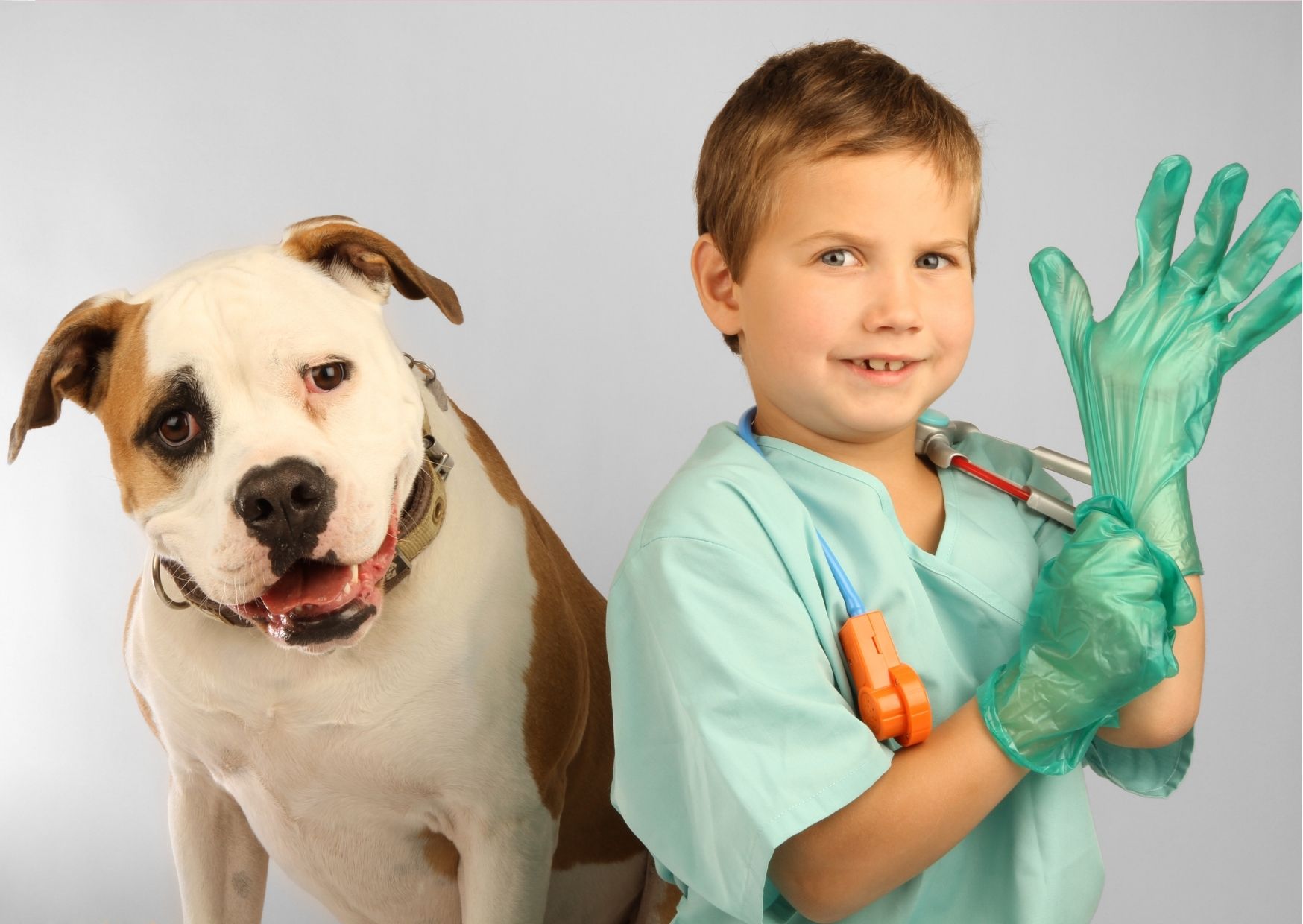 Enlever les poils d'animaux