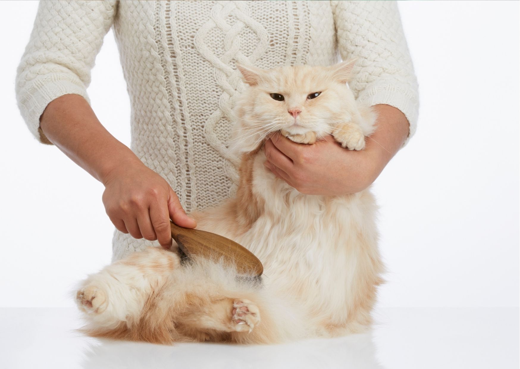 Enlever les poils d'animaux