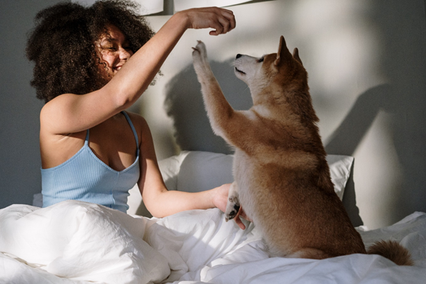 chien qui perd ses poils sur des vêtements