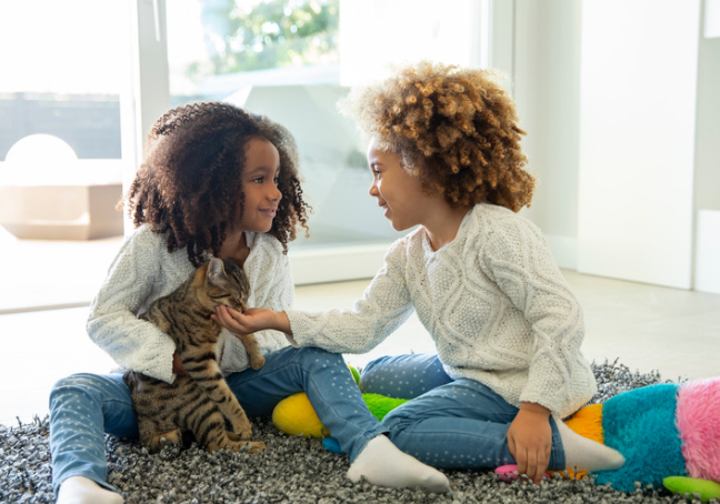 Enfants jouant avec un chat