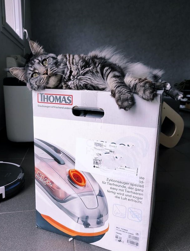 Aspirateur pour poils de chat