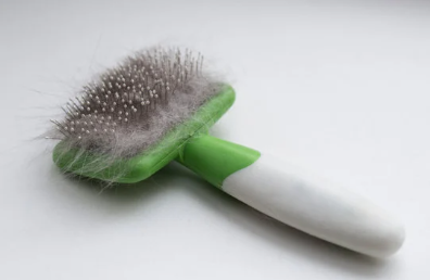 Brosse pour démêler les poils longs de chats 