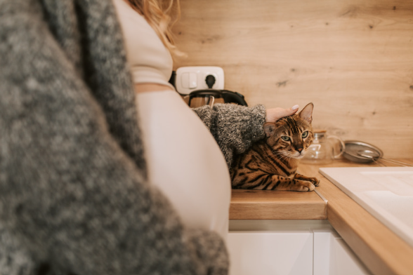 Femme enceinte avec un chat
