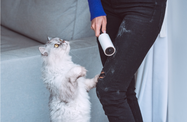 Femme utilisant un rouleau adhésif pour poils de chat