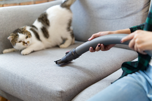 Utilisation brosse électrostatique sur coussin en tissu