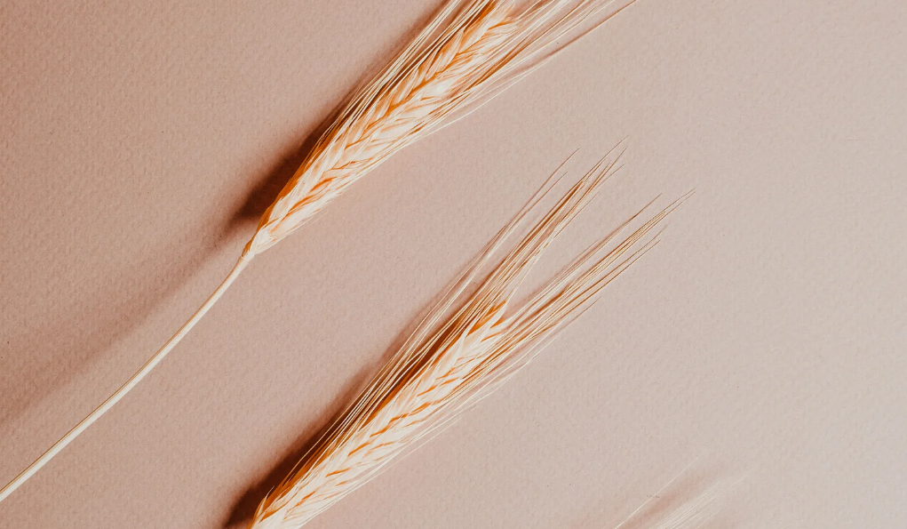 brain d'épillet