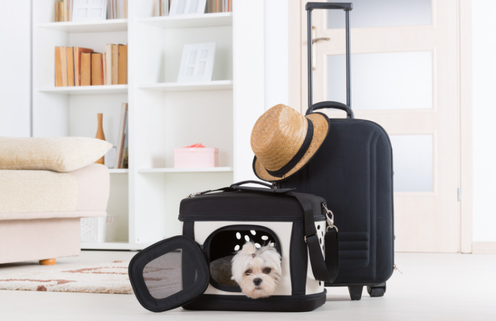 Sac de transport pour chien