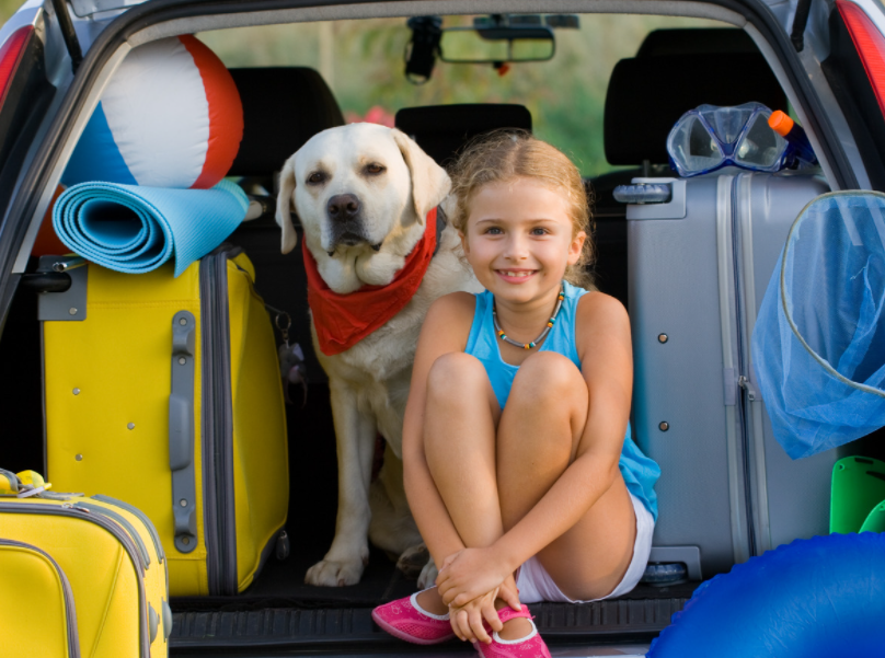 chien fille voiture