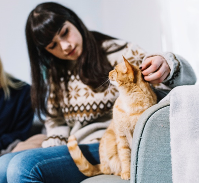 Brosse pour démêler les poils longs de chats 