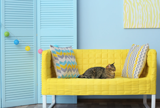 chat sur un canapé jaune