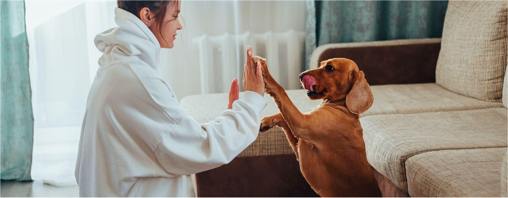 Activité avec son chien : notre sélection des meilleurs jeux !