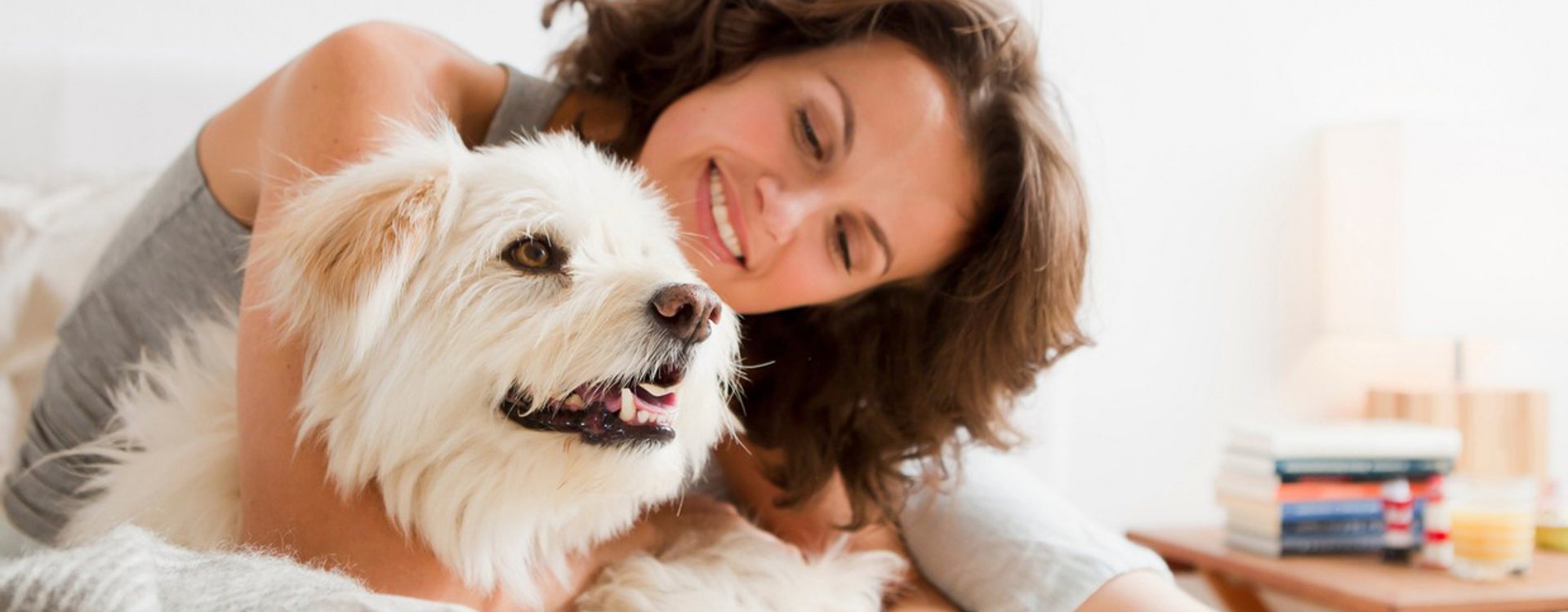 Enlever les poils de chien sur les vêtements