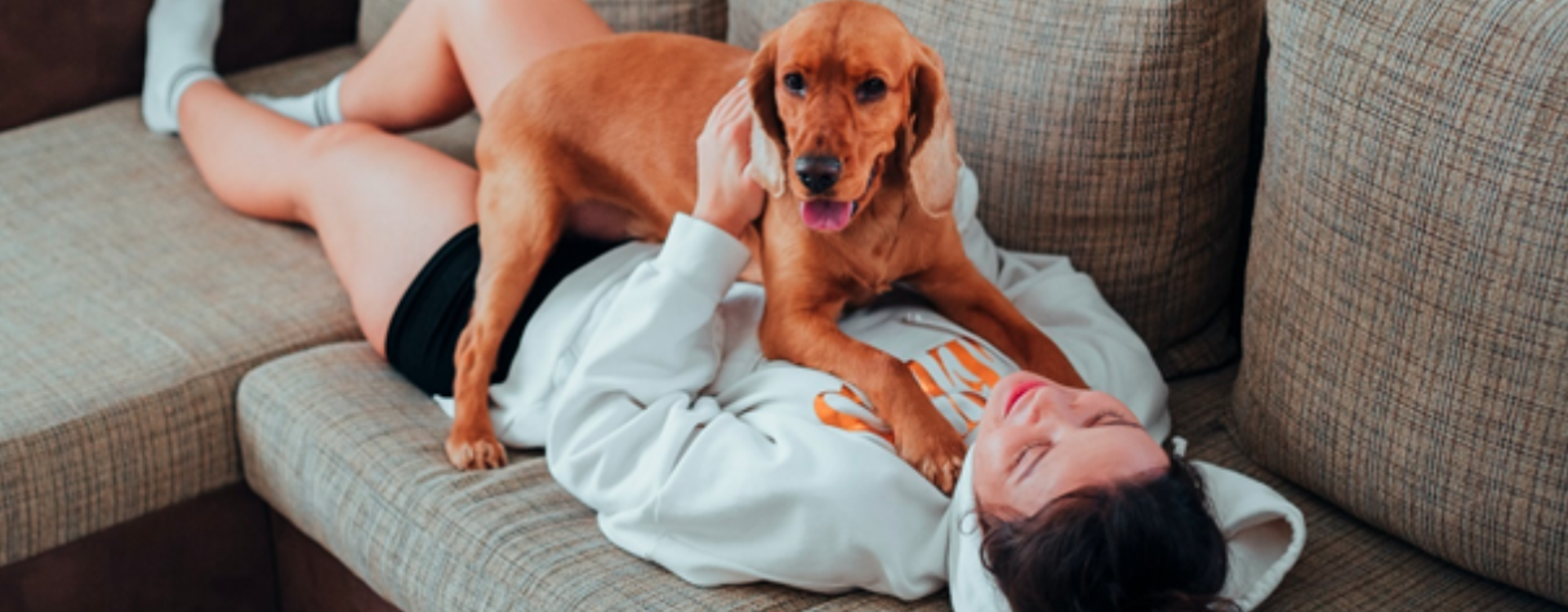 Comment enlever les poils de chien ? Trucs et astuces