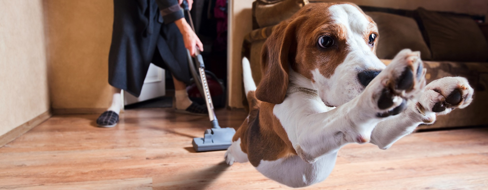 Aspirateur Balais Spécial Pour Poils Animaux