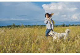 Comment enlever les gaillets collés aux poils de chien ?