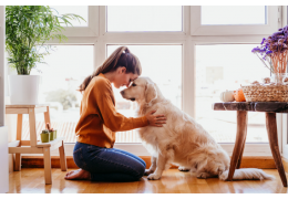 Votre chien stresse à en perdre ses poils ? Nos conseils